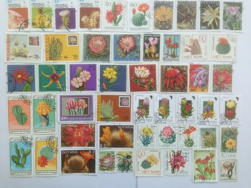 Cactus cacti succulents stamps - cactus/cacti/succulents,