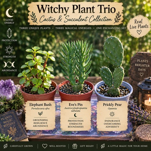 Witchy plant trio - witchy, live