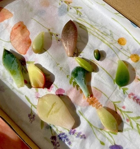 Different cuttings - different,