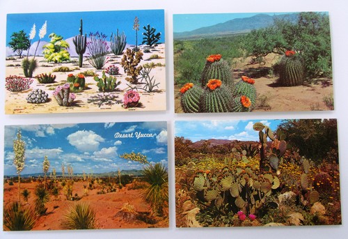 Postcard lot usa - x, desert