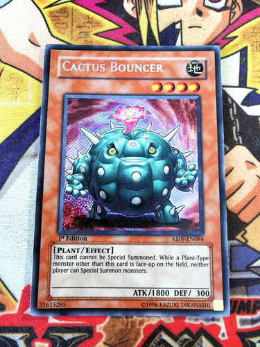 Cactus bouncer abpf - cactus, 1st