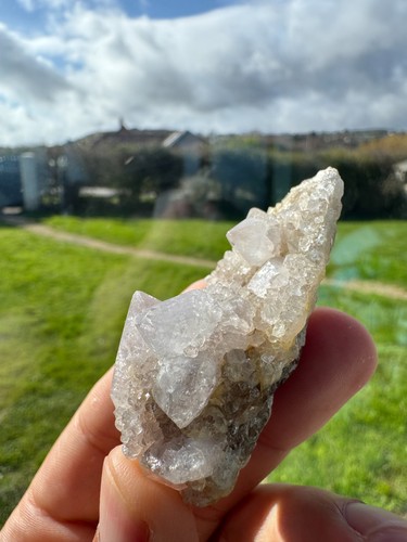 Cactus quartz cluster