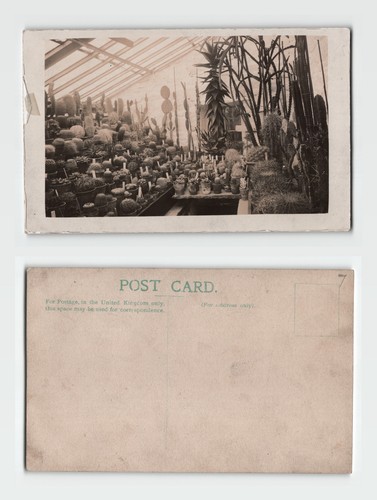 Postcard edwardian - postcard,